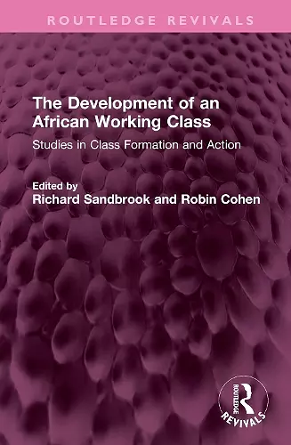 The Development of an African Working Class cover