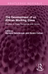 The Development of an African Working Class cover