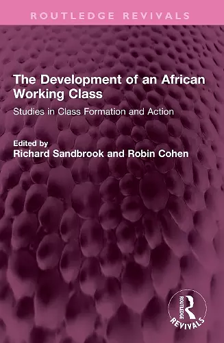 The Development of an African Working Class cover