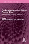 The Development of an African Working Class cover
