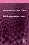 Working Class Youth Culture cover