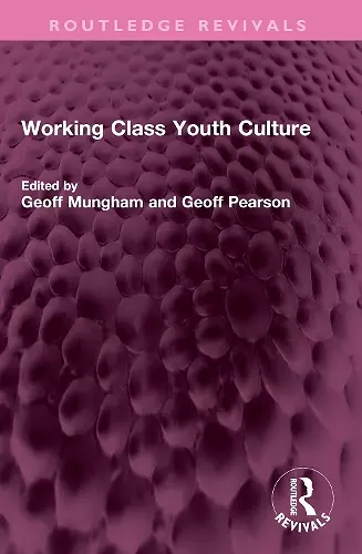 Working Class Youth Culture cover