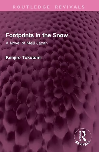 Footprints in the Snow cover
