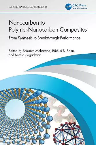 Nanocarbon to Polymer-Nanocarbon Composites cover