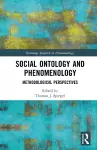 Social Ontology and Phenomenology cover