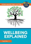 Wellbeing Explained cover