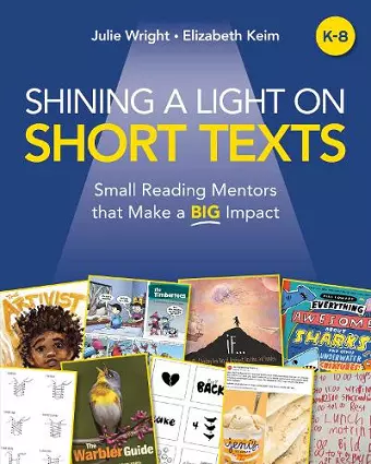 Shining a Light on Short Texts cover
