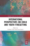 International Perspectives on Child and Youth Firesetting cover