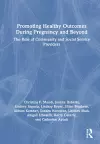 Promoting Healthy Outcomes During Pregnancy and Beyond cover
