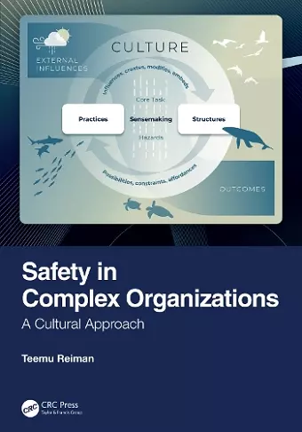 Safety in Complex Organizations cover