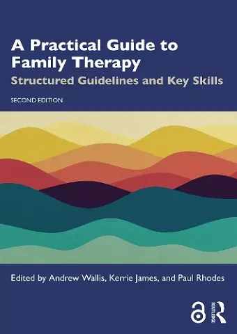 A Practical Guide to Family Therapy cover