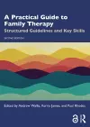 A Practical Guide to Family Therapy cover