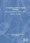 A Practical Guide to Family Therapy cover