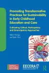 Promoting Transformative Practices for Sustainability in Early Childhood Education and Care cover