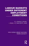 Labour Markets Under Different Employment Conditions cover