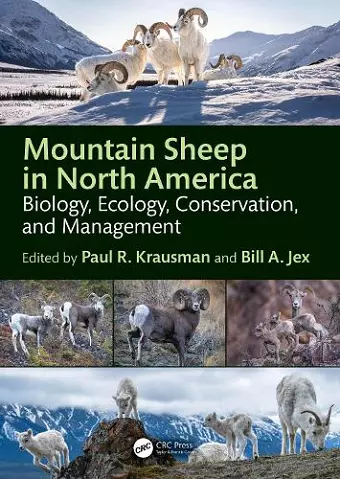 Mountain Sheep in North America cover