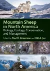 Mountain Sheep in North America cover