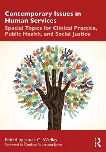Contemporary Issues in Human Services cover