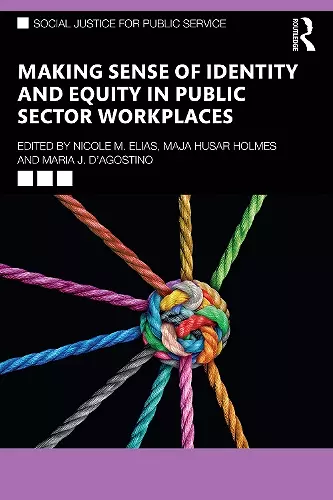 Making Sense of Identity and Equity in Public Sector Workplaces cover