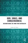 God, Souls, and Consciousness cover
