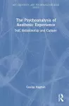 The Psychoanalysis of Aesthetic Experience cover