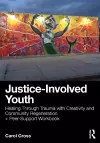 Justice-Involved Youth cover