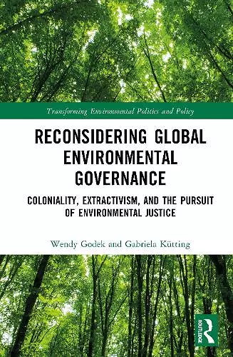 Reconsidering Global Environmental Governance cover