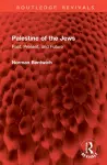 Palestine of the Jews cover