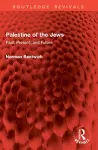 Palestine of the Jews cover