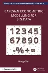 Bayesian Econometric Modelling for Big Data cover