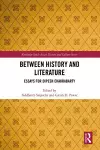 Between History and Literature cover