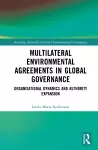 Multilateral Environmental Agreements in Global Governance cover