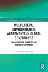 Multilateral Environmental Agreements in Global Governance cover