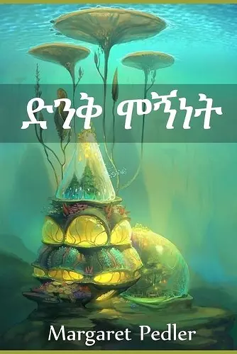 ድንቅ ሞኝነት cover