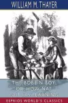 The Bobbin Boy; or, How Nat Got His Learning (Esprios Classics) cover