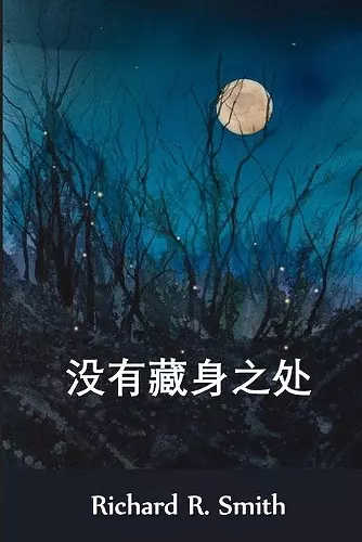 没有藏身之处 cover