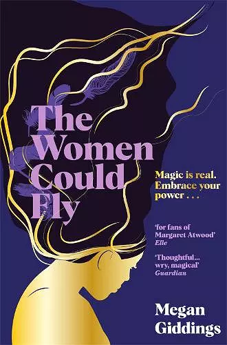 The Women Could Fly cover