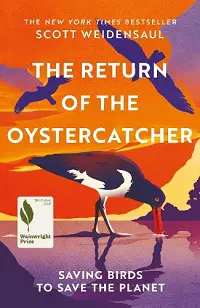 The Return of the Oystercatcher cover