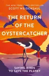 The Return of the Oystercatcher cover