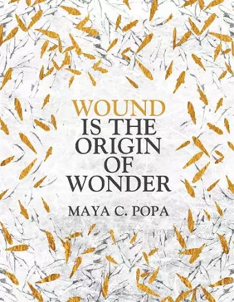 Wound is the Origin of Wonder cover