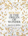 Wound is the Origin of Wonder cover