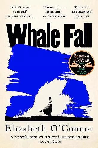 Whale Fall cover