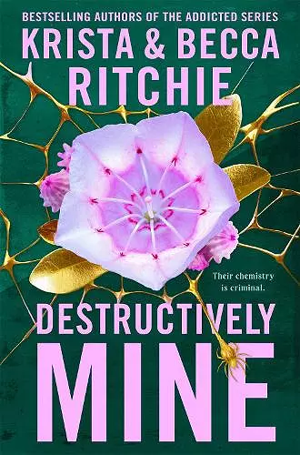 Destructively Mine cover