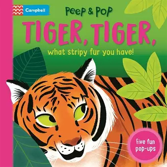 Tiger, Tiger, What Stripy Fur You Have! cover