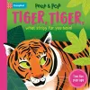 Tiger, Tiger, What Stripy Fur You Have! cover