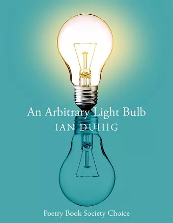 An Arbitrary Light Bulb cover