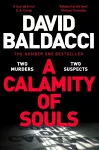 A Calamity of Souls cover