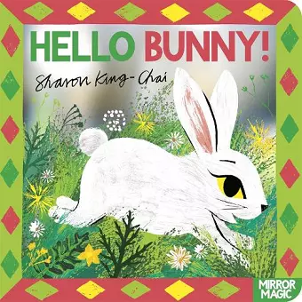 Hello Bunny! cover