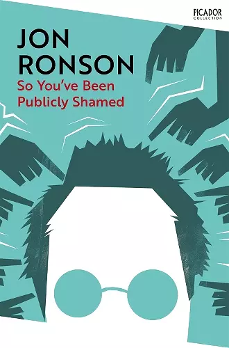 So You've Been Publicly Shamed cover