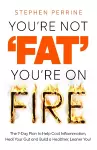 You're Not 'Fat', You're On Fire cover